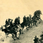 Les chevaux dans l'arm&eacute;e et la guerre