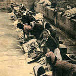 Les « poules d'eau » : le bruit de leurs battoirs n'étouffe pas celui de leurs caquetages !