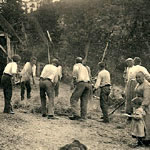 Une batterie de sarrasin en Normandie