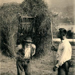 Rentrée des foins à dos d'homme dans les hautes Vosges