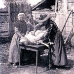 La tonte des moutons est fréquemment pratiquée par d’habiles journalières.