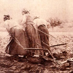 « Plus de chevaux pour tirer la herse. Qu’importe ! Trois robustes paysannes s’attèlent à l’outil… »